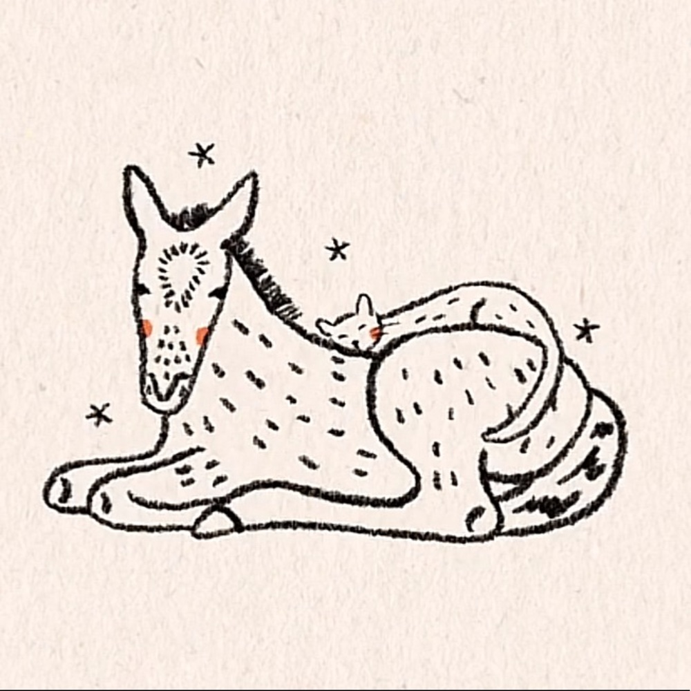 Meet your Posher, Ana